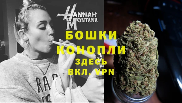 мдпв Лиски