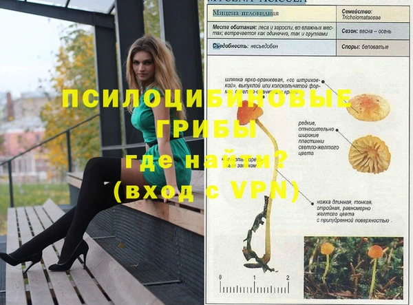 твердый Лабытнанги