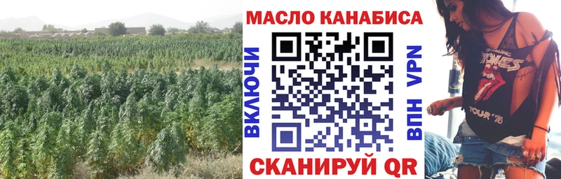 Дистиллят ТГК вейп  MEGA ONION  Миньяр 