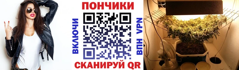 Бошки Шишки MAZAR  Миньяр 